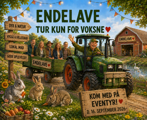 endelavetur26.png.png